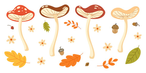 Vector ser of cartoon illustrations of fall forest mushrooms. Simple fungi, leaves, acorn in red, orange and brown colours. Set for print and pattern designs, cards, icons, stickers and autumn decor © Kseniya