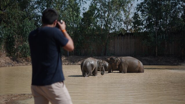 Tourist capturing elephants enjoying a mud bath in a wildlife sanctuary
