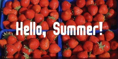 Naklejka premium Hello summer banner sign