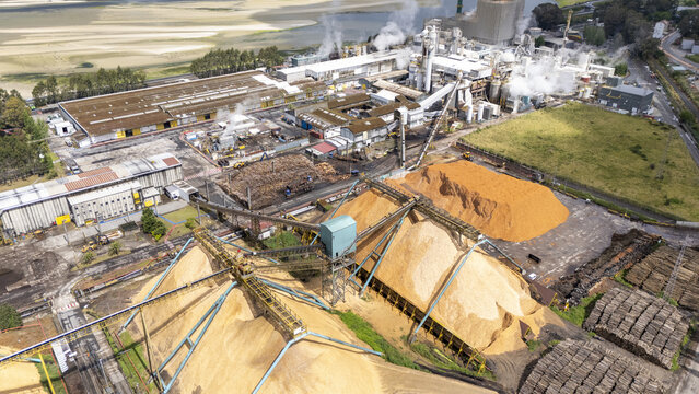 Aerial view of Biofabrica de Ence en Pontevedra with large wood chip piles, industrial buildings, and steam rising from chimneys Pontevedra, Pontevedra, Spain.