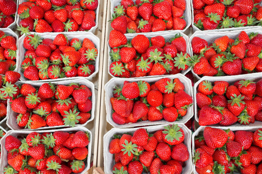 Erdbeeren