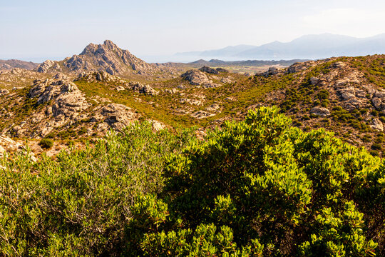 Corsica Agriates desert landscape featuring rugged rocky hills, green maquis shrubs, and the distant Mediterranean Sea, an ideal tourism destination.