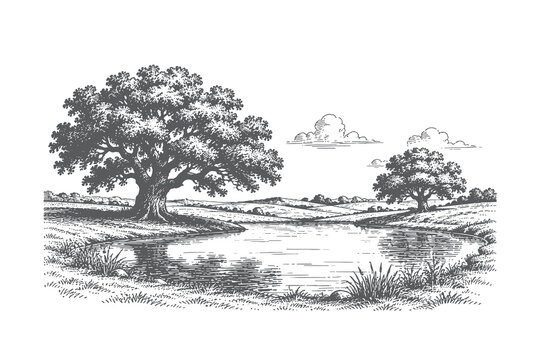 Beautiful meadow landscape vector illustration featuring a large spreading oak tree by a small pond in a classic hand drawn engraving style.
