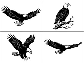 Fototapeta premium Four detailed black and white illustrations of bald eagles in various poses, including flying, perching, and swooping.
