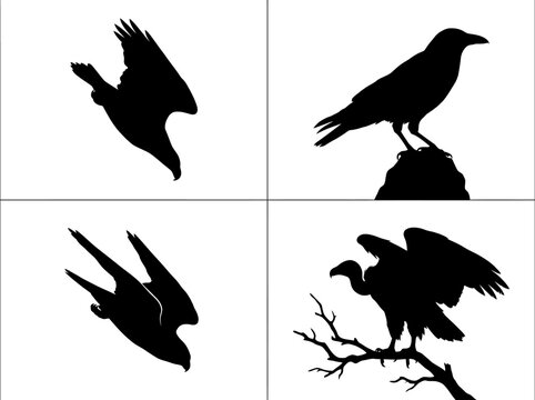 Four black silhouettes of different birds, including a diving falcon, a perched crow, another swooping bird, and a vulture on a bare branch.