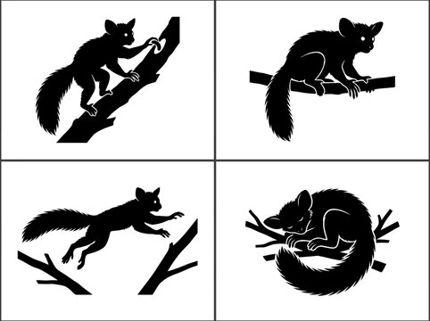 Four black silhouettes of nocturnal animals, possibly bushbabies or galagos, in various poses on tree branches, including climbing, sitting, jumping, and sleeping.