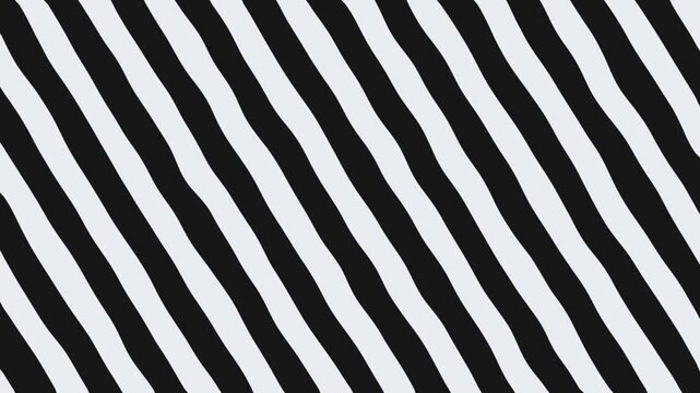 Zebra Skin Pattern, Video Abstract Background Line Wave