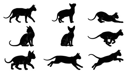 Obraz premium Sphynx Cat Silhouettes Collection: 9 Dynamic Poses, Running, Jumping, Sitting