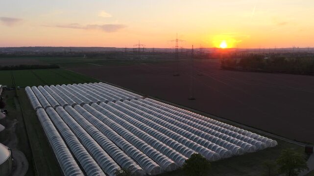 Greenhouse (Polytunnel) in Germany to produce strawberrys in the sunset