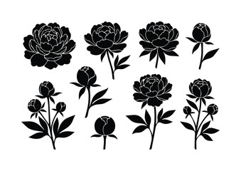 Black peony flower silhouettes, botanical floral vector set with 9 elements, elegant garden blossom outlines for wedding invitations and logo design © Farah-Studio