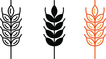 Wheat grain ear vector icon set for organic farming and bakery food products © AYESHA
