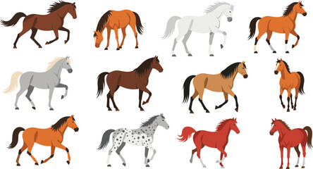 Obraz premium Horse Set with Various Breeds and Poses Including Galloping, Walking, and Running for Animal and Equestrian Illustrations
