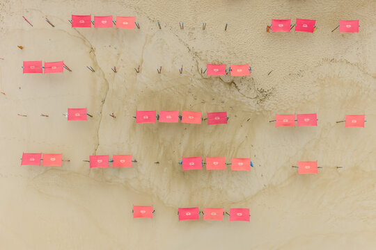 Aerial view of Praia de Sao Pedro de Moel featuring rows of pink sunshades arranged on the golden sand in Marinha Grande, Leiria, Portugal.