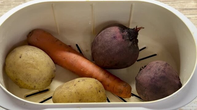 Potatoes carrots beets in steamer tray, household electric steamer without lid, closeup of unpeeled root vegetables on steaming