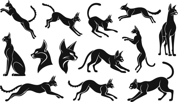 Black Cat Silhouette Collection Showing Various Poses Jumping Sitting and Playing