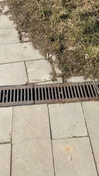 Iron drainage grate on sports pavement, rusty metal plate set in linear channel between concrete pavers, dried leaves and grit