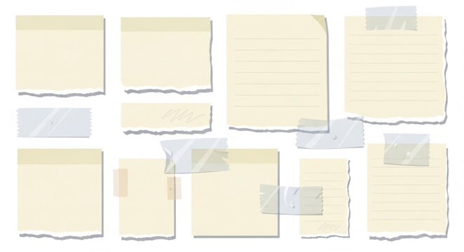 Torn paper notes on white.