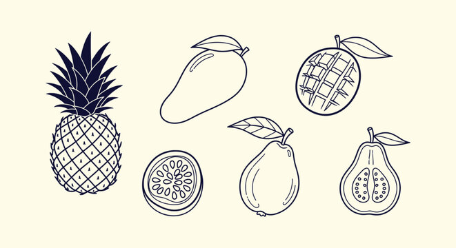 Collection of hand drawn tropical fruit line art including pineapple mango guava and passion fruit