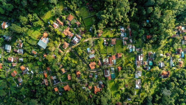 Aerial view of a verdant village nestled amongst lush trees and foliage
