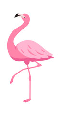 Fototapeta premium Flamingo Standing On One Leg Cartoon Style