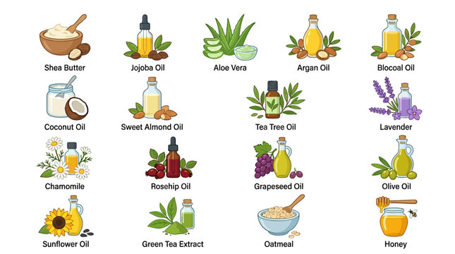 Essential Oils and Natural Extracts.
