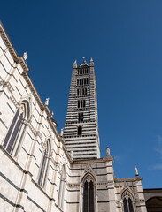 Obraz premium Looking up at the bell tower of the Duomo di Siena, Tuscany, Italy