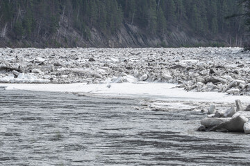 Large spring ice drift on northern river with melting river ice and massive drifting ice fields, cold water and forest landscape, concept of global warming, climate change and seasonal thaw © Vladimir Razgulyaev