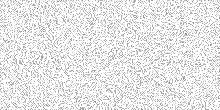 Abstract Reaction-diffusion Turing pattern natural texture white grey color scheme. Linear design with biological shapes. Organic lines Memphis. abstract truing organic wallpaper design, vector.	