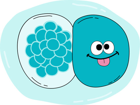 Chlamydia STIs Cartoon Illustration for Sexual Transmitted Infections Agent. Biology, Sexual Education, Healthcare, Awarness. Vector Isolated