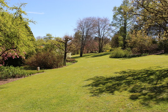 Parc floral d'Apremont-sur-Allier :  ombre et soleil sur le gazon
