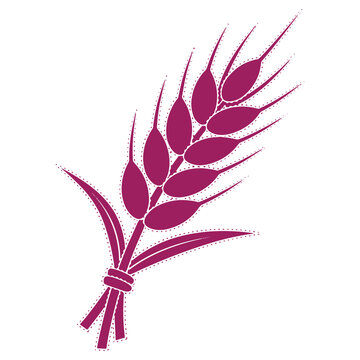 Illustration of a purple wheat stalk bundle isolated on a white background for design and graphic projects