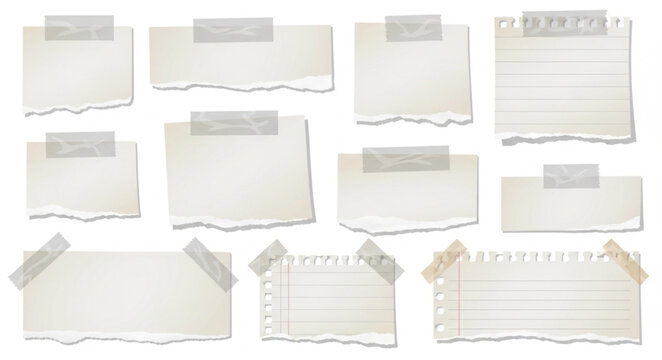 Various File Folder Tabs.