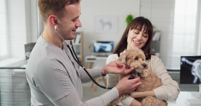 Veterinarian checks dog with stethoscope during consultation. The owner holds the pet while the doctor performs a careful exam and checkup in a bright clinic. Clear vet care concept shown.