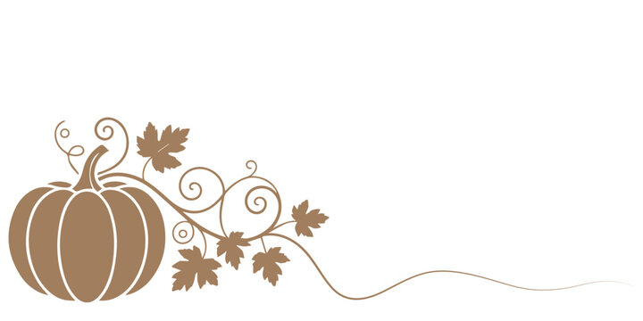 Pumpkins with leaves, silhouette on white background, A set of pumpkins, black outlined and colored. Vector collection of cute hand drawn pumpkins on white background. Elements for autumn decorative