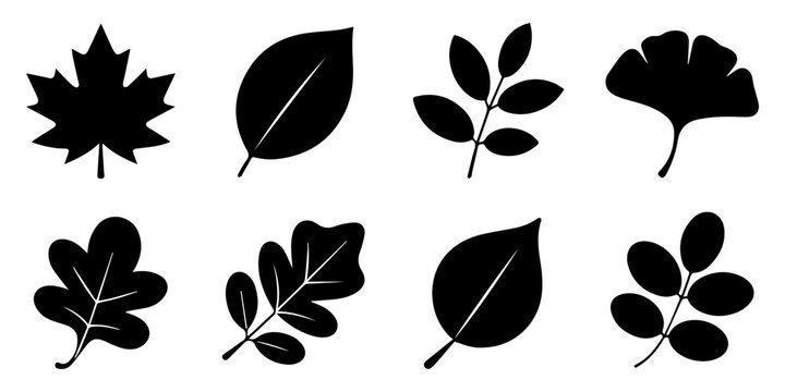 A set of silhouettes of autumn leaves in warm colors, Autumn leaves set, Vector set of decorative autumn leaf silhouettes, Set of black oak leaves silhouettes on a transparent background, perfect
