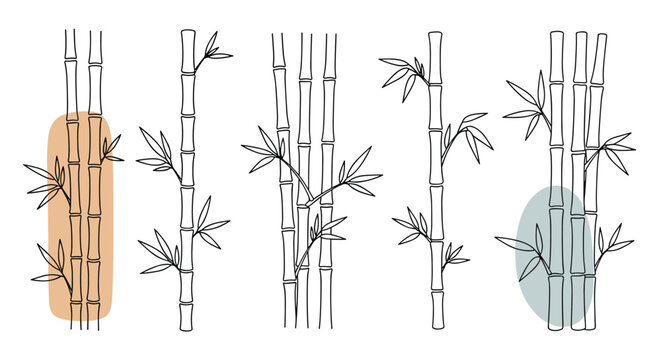 Collection of various hand drawn bamboo stalks with leaves, featuring minimalist black outlines and subtle background color shapes.