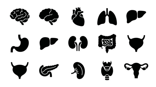 Human Organs Icon Set