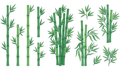 Fototapeta premium Bamboo vector illustration set with green bamboo stalks and leaves isolated on white