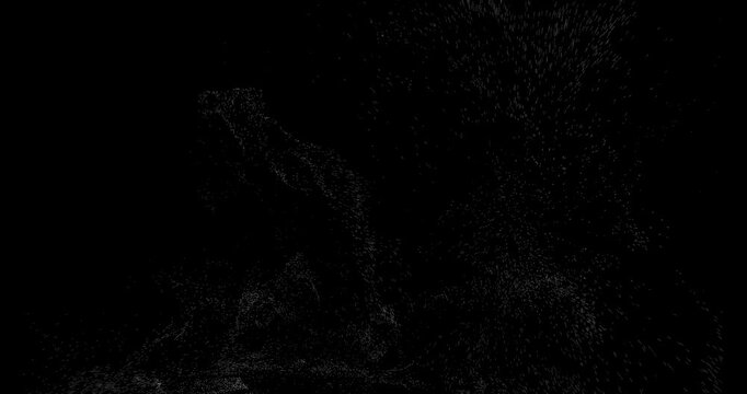 stylish wispy particle smoke on blackground
