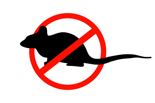 Hantavirus rodent icon. Rat or Mouse with Green Hantavirus Icon. No Infection and Stop Hantavirus Concepts. Hantavirus spread in US, spain and Singapore after some cruise passanger tested positive.