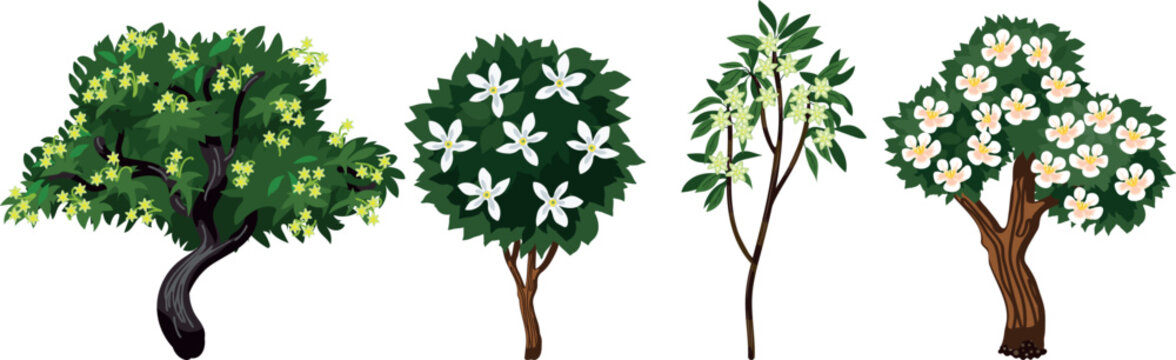 Realistic vector illustration set of flowering fruit trees isolated on white