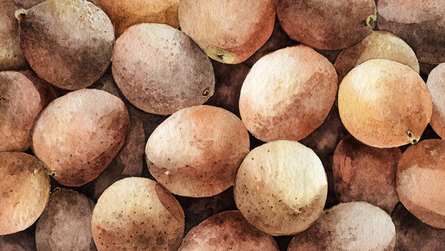 Watercolor illustration of sapodilla fruits in full frame composition, dense overlapping tropical fruits with soft brown tones and natural matte texture, ideal for organic food background.