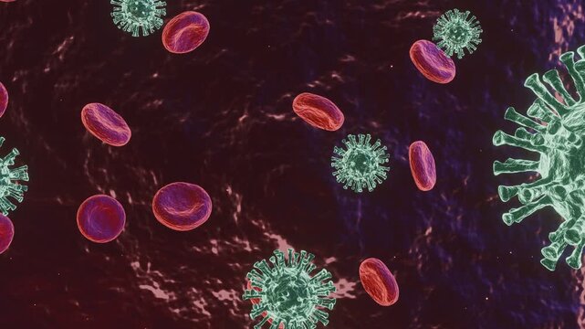 Visualization of hantavirus viral infection in the human body &ndash; pathogen cells in the bloodstream (medical animation)