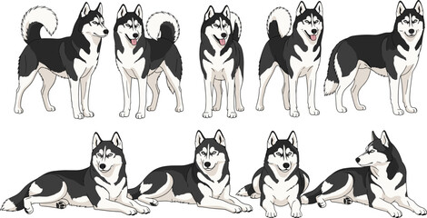 Husky Dog Icon Set Featuring Various Poses and Expressions for Animal, Pet, and Dog Graphics © MDFiroj