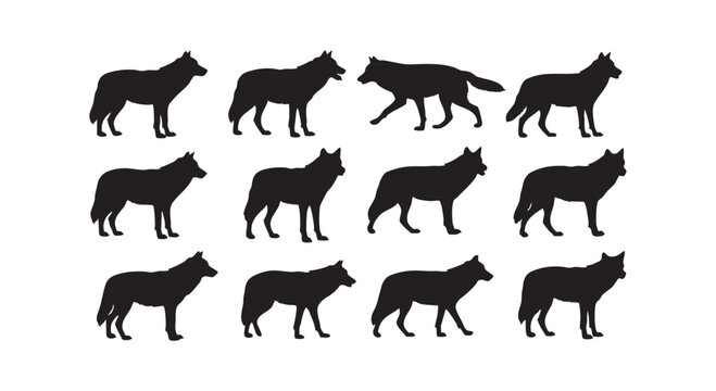 Set of twelve detailed wolf silhouettes in various poses representing different actions and movements.