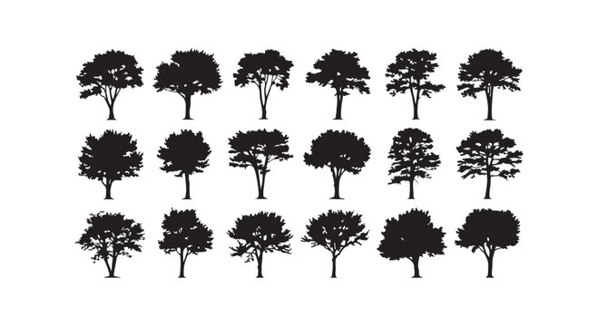 Set of trees silhouettes isolated on white background depicting a variety of tree shapes and foliage for design elements.