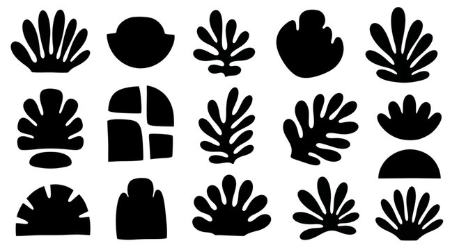 Abstract black silhouettes of various organic and botanical shapes.