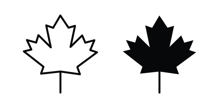 Maple leaf icon design. Black outline pictogram