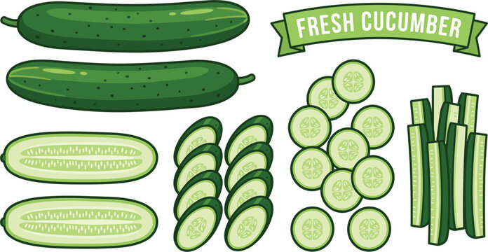 Set of fresh green cucumber whole sliced and chopped pieces for healthy vegetable salad and organic food market