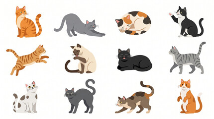 Obraz premium Colorful cute cats in various poses illustrating the concept of Isolates 